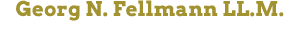 Solicitor Fellmann